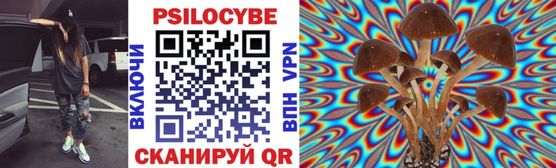 Псилоцибиновые грибы GOLDEN TEACHER  Обоянь 